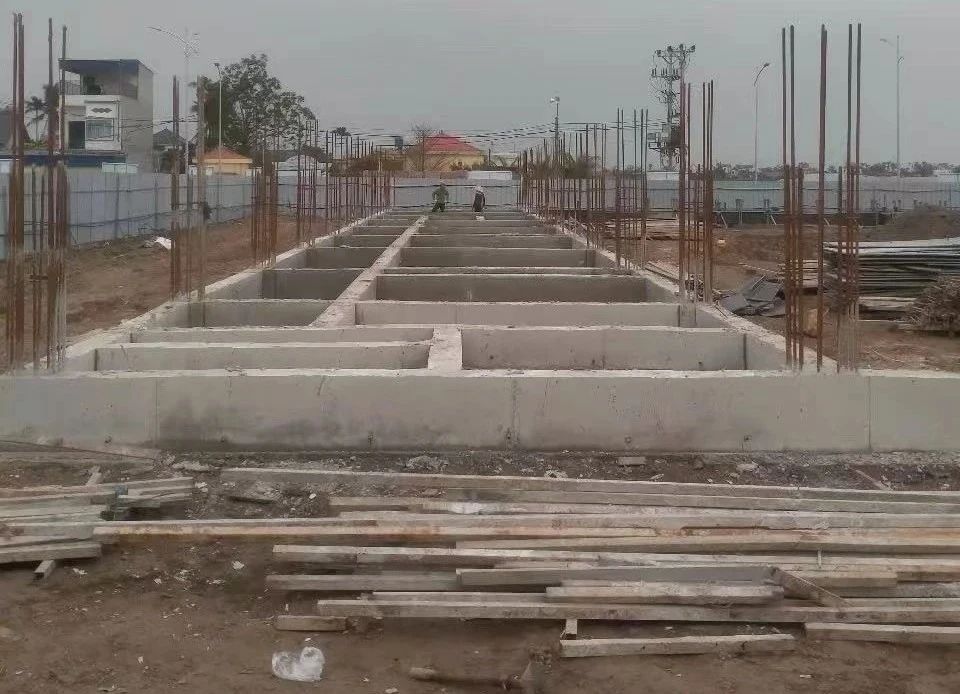 1743041278886253.jpg